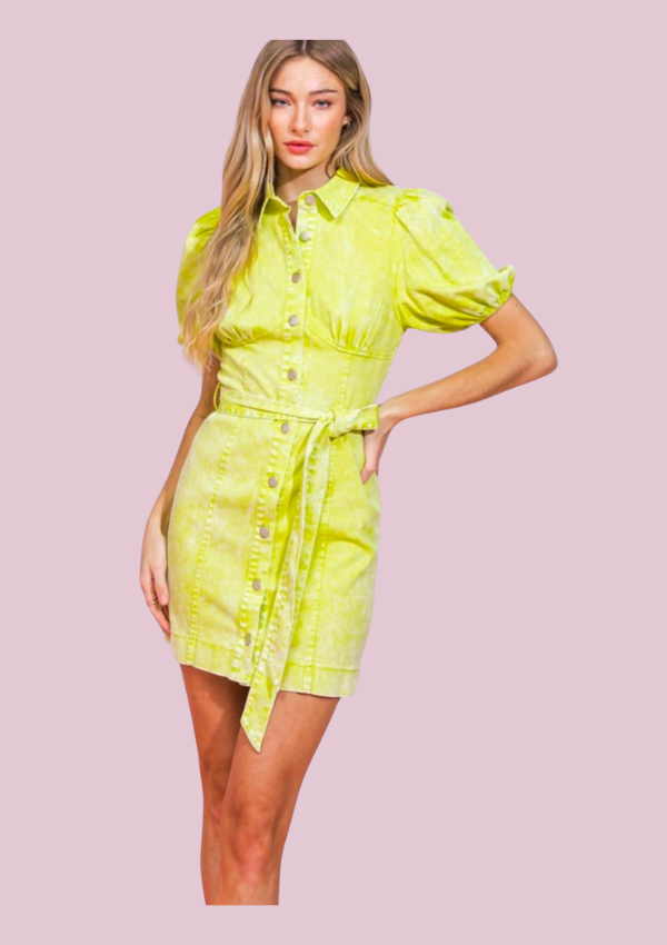Lime | Denim dress button down short sleeve