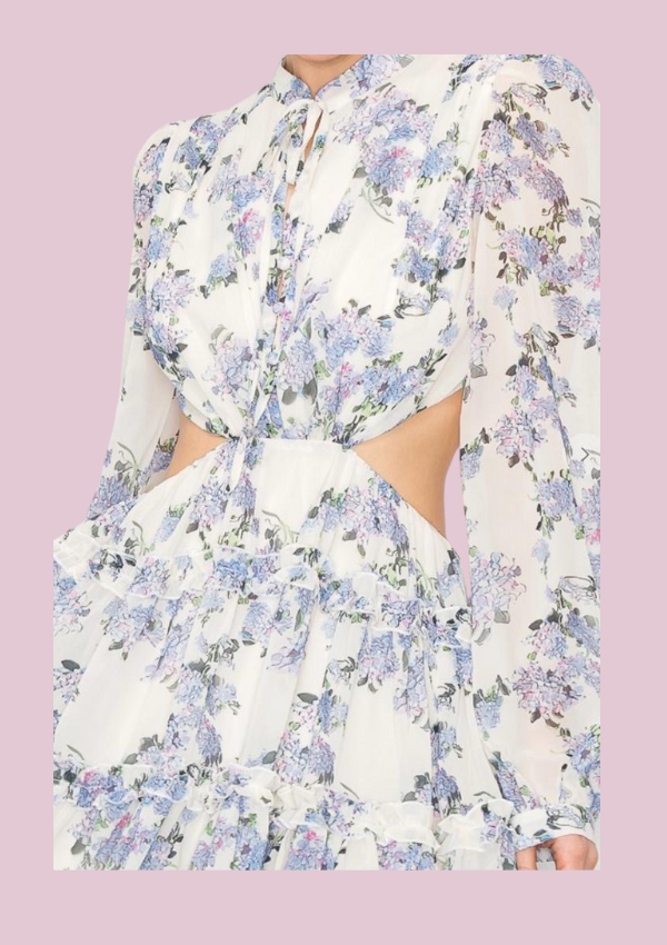 Lily | open back long sleeve dress