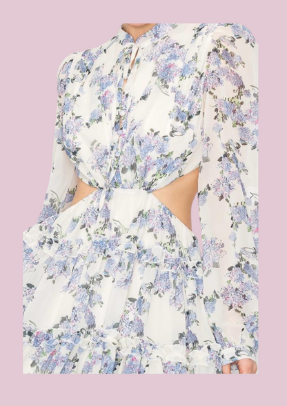 Lily | open back long sleeve dress